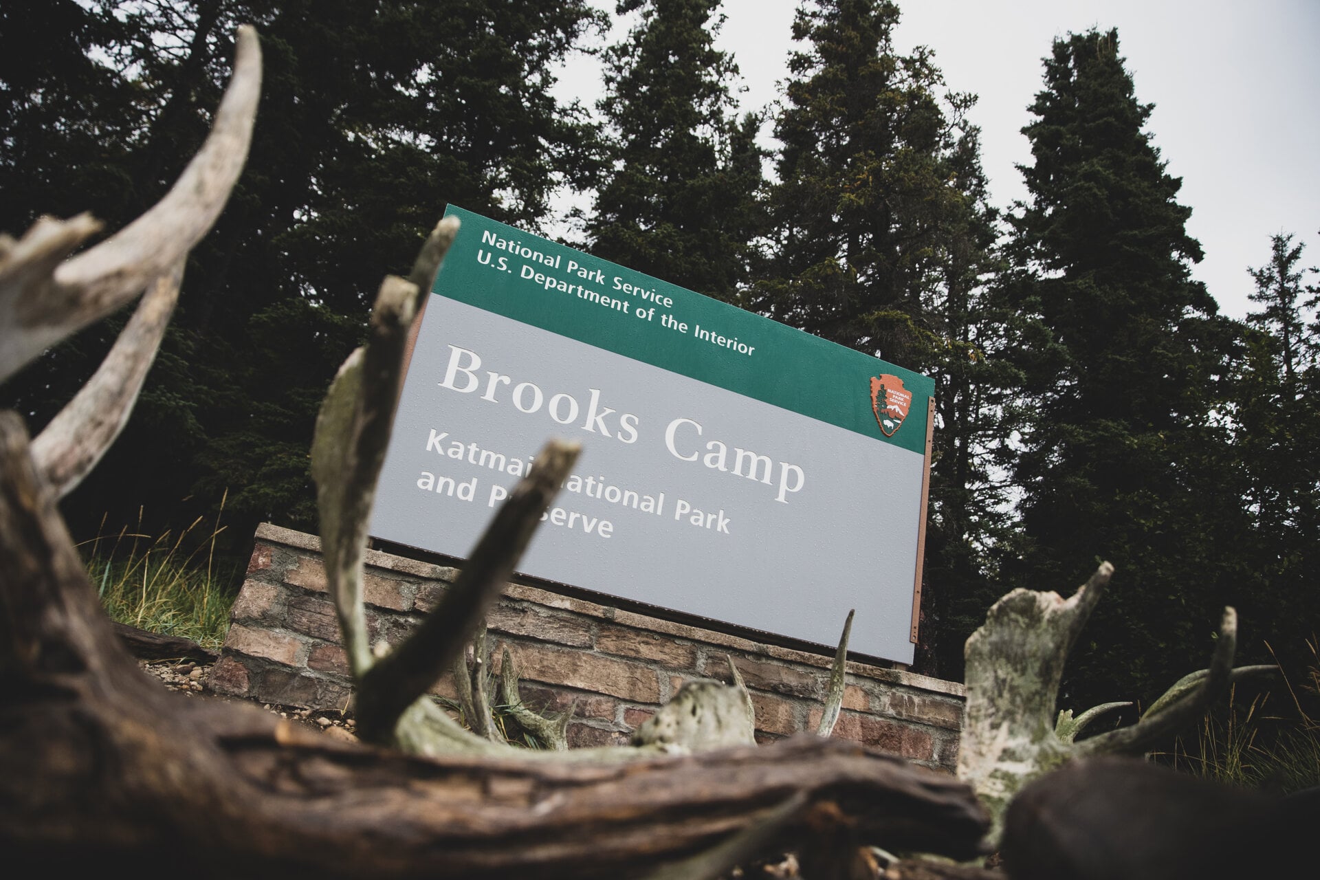 Brooks Camp | King Salmon, Alaska