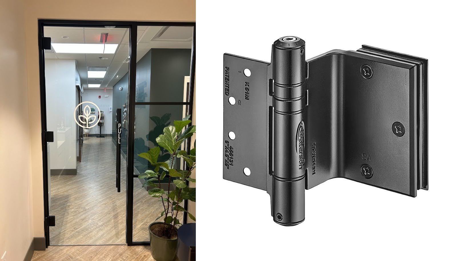 Glass to Frame Door Hinges