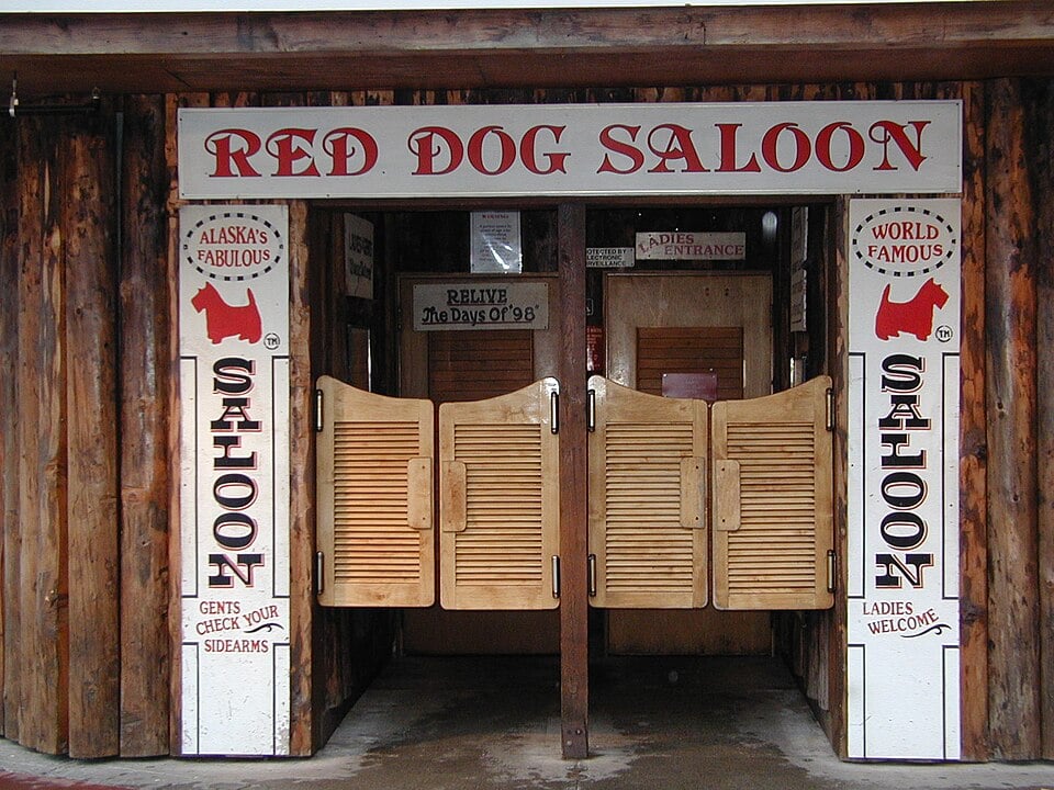 Saloon_Door_Hinges