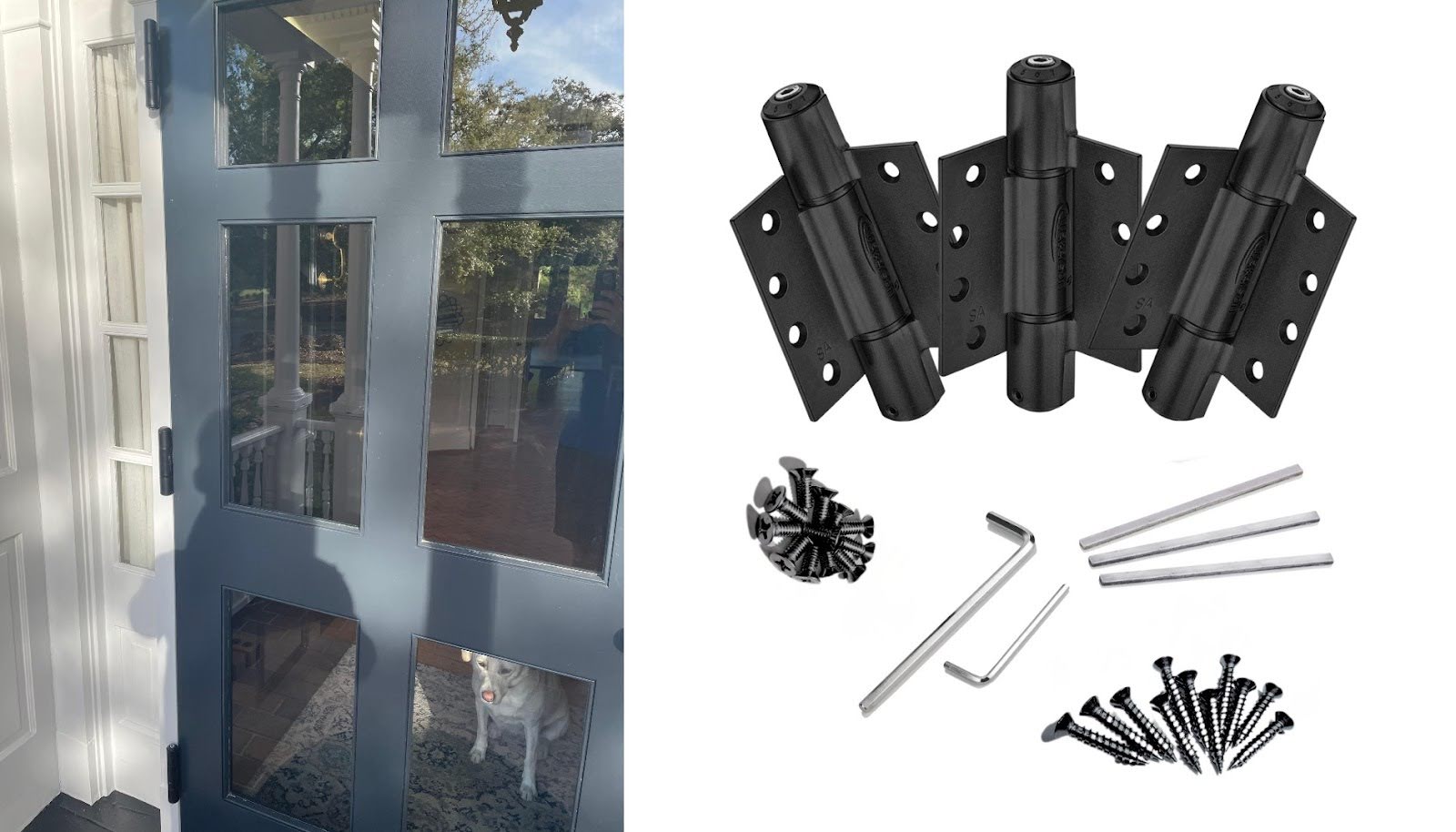 pet door hinges black