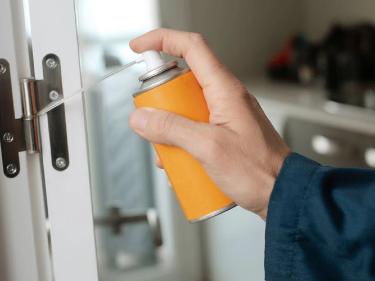 how to stop squeaky door hinges