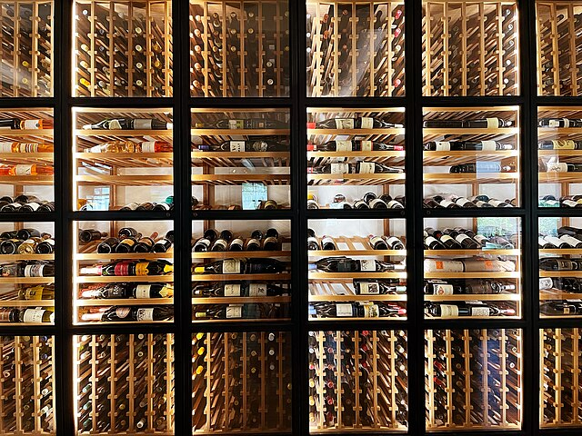 wine cellar glass door hinges